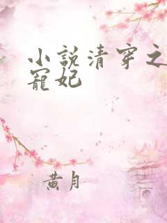 小说清穿之四爷宠妃