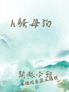 h骚母狗