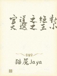 官道之绝对权力天选之主小说最新章