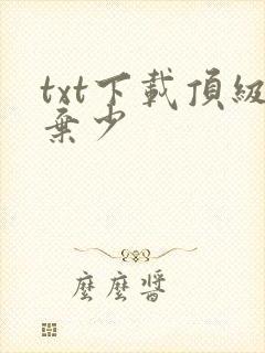 txt下载顶级弃少