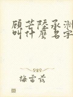顾芒陆承洲小说叫什么名字