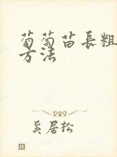 葡萄苗长粗最快方法