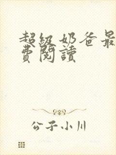 超级奶爸最新免费阅读