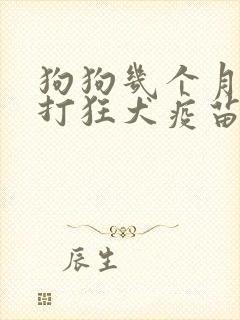 狗狗几个月可以打狂犬疫苗
