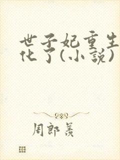 世子妃重生后黑化了(小说)