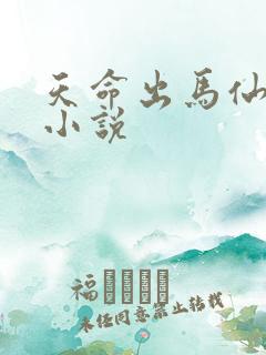 天命出马仙2听小说