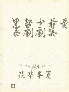 黑帮少爷爱上我泰剧剧集