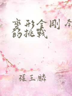 变形金刚 领袖的挑战