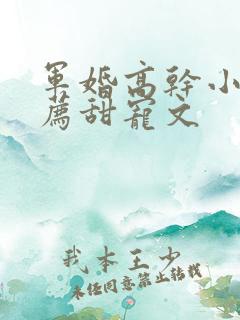 军婚高干小说推荐甜宠文