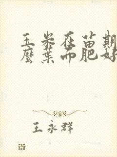 玉米在苗期用什么叶面肥好