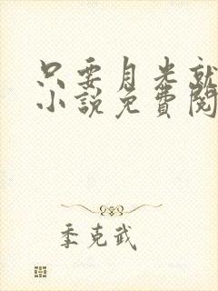 只要月光就够了小说免费阅读
