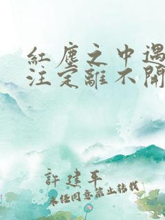 红尘之中遇见你注定离不开是什么歌