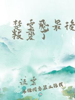 楚云飞最后为啥叛变了