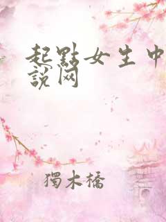 起点女生中文小说网