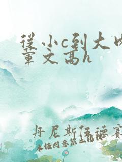 从小c到大肉多荤文高h