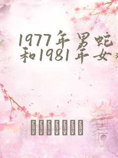 1977年男蛇和1981年女鸡姻缘怎么样