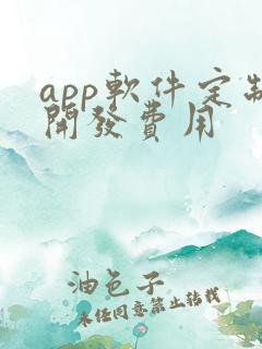app软件定制开发费用