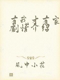 有我才有家分集剧情介绍