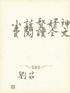 小说赘婿神皇免费阅读全文