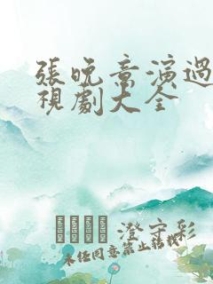 张晚意演过的电视剧大全
