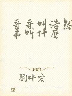 哥哥叫浩然,弟弟叫什么