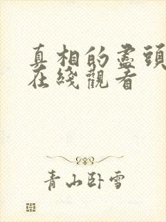 真相的尽头电影在线观看