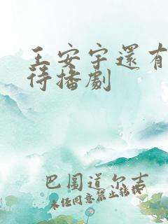 王安宇还有几部待播剧