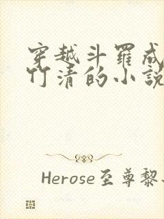 穿越斗罗成为朱竹清的小说