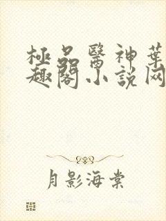 极品医神叶辰笔趣阁小说网
