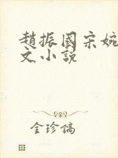 赵振国宋婉清全文小说