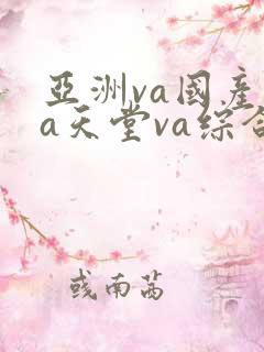 亚洲va国产va天堂va综合va