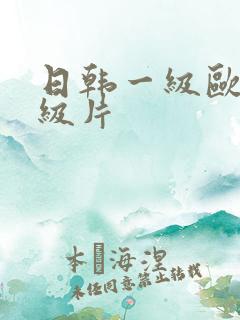日韩一级欧美一级片