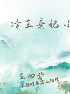 冷王弃妃 小说