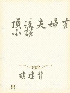 顶流夫妇有点甜小说