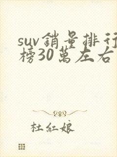 suv销量排行榜30万左右前十口碑