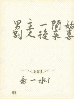 男主一开始喜欢别人后来喜欢女主