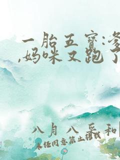 一胎五宝:爹地,妈咪又跑了