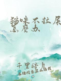 猫咪不拉屎拉尿怎么办
