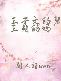 王子文的儿子是王朔的吗