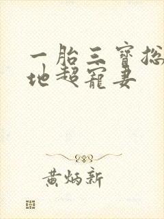 一胎三宝总裁爹地超宠妻