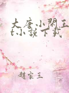 大唐小闲王txt小说下载