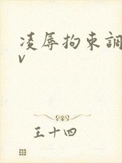 凌辱拘束调教av 凌辱拘束调教av
