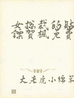 女总裁的贴身保镖贺枫免费