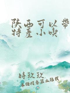 陕西可以带走的特产小吃
