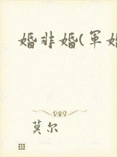 婚非婚(军婚)
