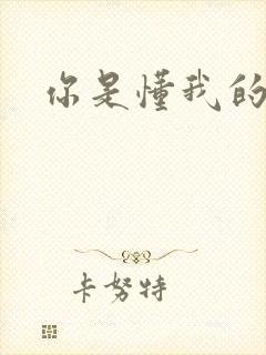 你是懂我的