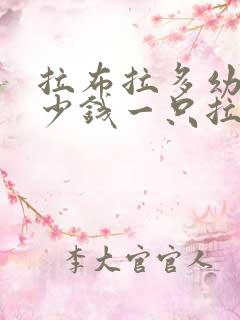拉布拉多幼犬多少钱一只拉布拉多价格