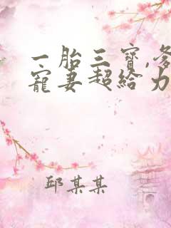 一胎三宝,爹地宠妻超给力亦小钱