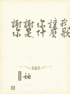 谢谢你让我遇见你是什么歌名的歌词