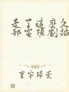 走了这么久是哪部电视剧插曲